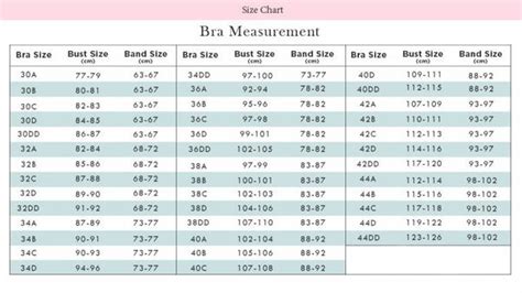 Bra Cup Sizes Smallest to Biggest